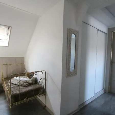 Daire Center - Duplex Marigny - Bookingalsace Colmar