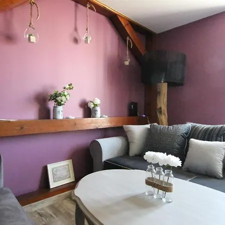 Center - Duplex Marigny - Bookingalsace Daire *