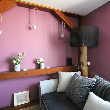 Center - Duplex Marigny - Bookingalsace Colmar