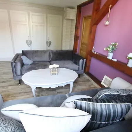 Center - Duplex Marigny - Bookingalsace *