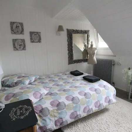 Center - Duplex Marigny - Bookingalsace * Colmar